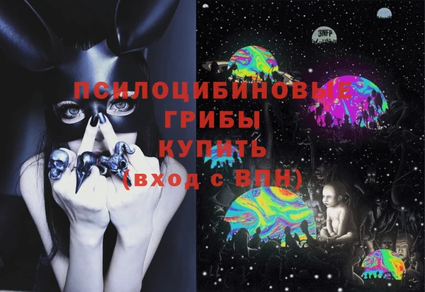 спиды Дмитриев