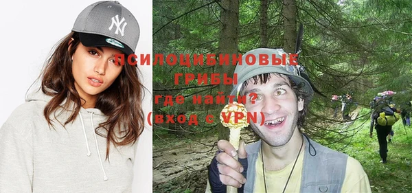 спиды Дмитриев