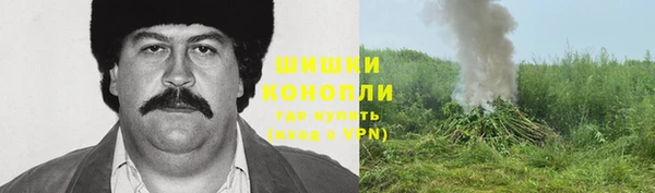спиды Дмитриев