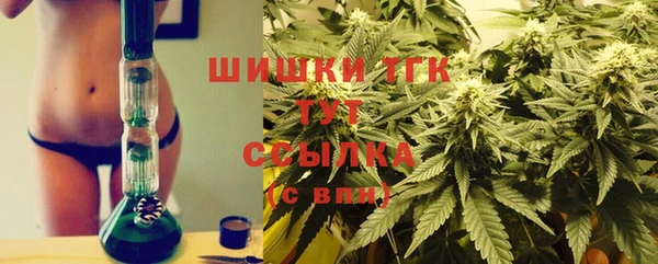 спиды Дмитриев