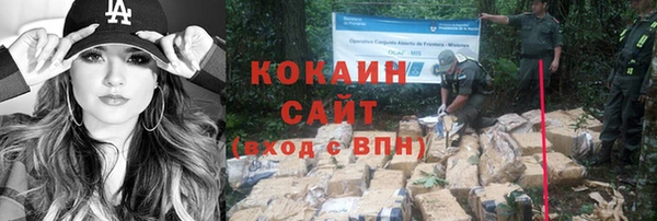 прущие крисы Дмитров